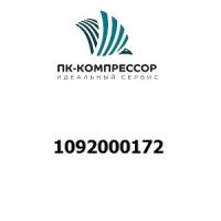 1092000172 BEARING