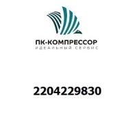 2204229830 DECAL MODEL MAVDV 621