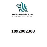 1092002308 Motor 55kW dIIBT4