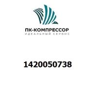 1420050738 O-RING